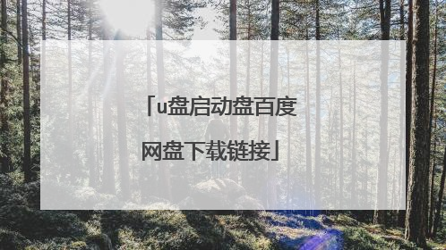 u盘启动盘百度网盘下载链接
