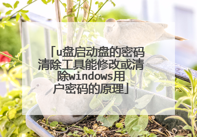 u盘启动盘的密码清除工具能修改或清除windows用户密码的原理