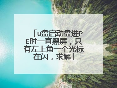 u盘启动盘进PE时一直黑屏,只有左上角一个光标在闪,求解