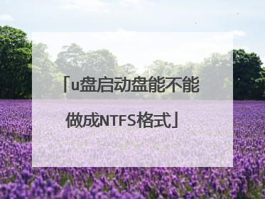 u盘启动盘能不能做成NTFS格式