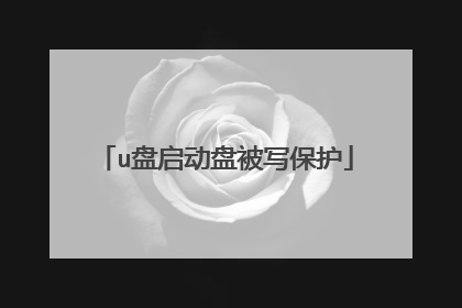 u盘启动盘被写保护