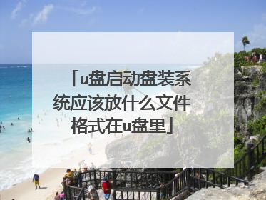 u盘启动盘装系统应该放什么文件格式在u盘里