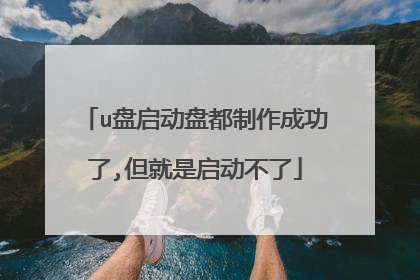 u盘启动盘都制作成功了,但就是启动不了