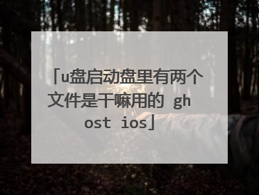 u盘启动盘里有两个文件是干嘛用的 ghost ios