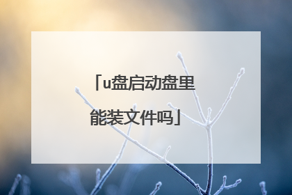 u盘启动盘里能装文件吗