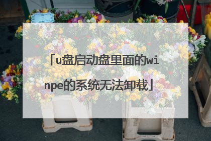 u盘启动盘里面的winpe的系统无法卸载