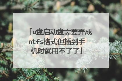 u盘启动盘需要弄成ntfs格式但插到手机时就用不了了
