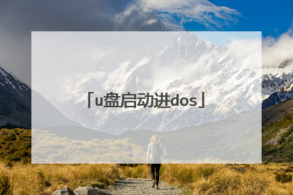 u盘启动进dos
