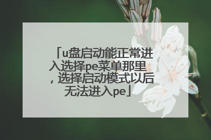 u盘启动能正常进入选择pe菜单那里，选择启动模式以后无法进入pe