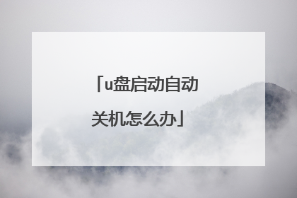u盘启动自动关机怎么办