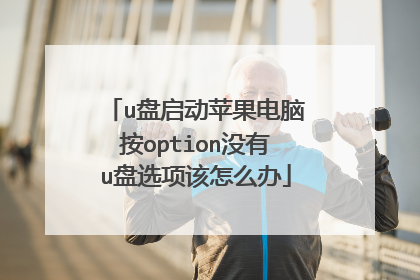 u盘启动苹果电脑按option没有u盘选项该怎么办