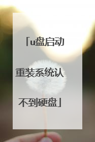 u盘启动重装系统认不到硬盘