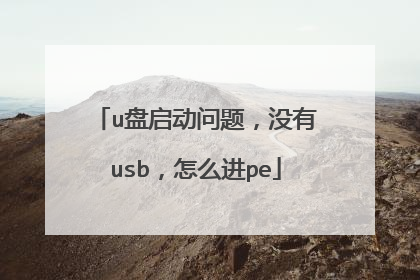 u盘启动问题,没有usb,怎么进pe