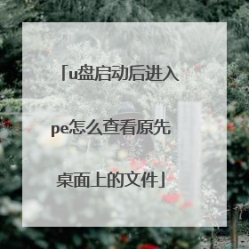 u盘启动后进入pe怎么查看原先桌面上的文件