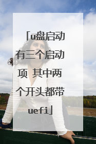u盘启动有三个启动项 其中两个开头都带uefi