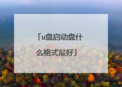 u盘启动盘什么格式最好
