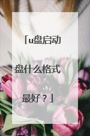 u盘启动盘什么格式最好?