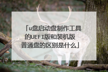 u盘启动盘制作工具的UEFI版和装机版普通盘的区别是什么