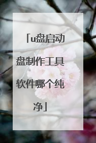 u盘启动盘制作工具软件哪个纯净