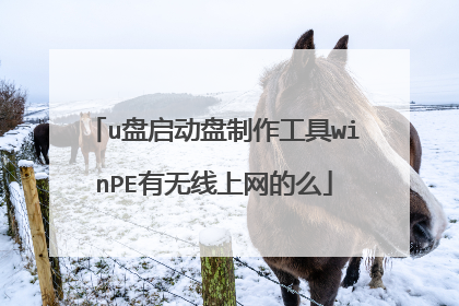u盘启动盘制作工具winPE有无线上网的么
