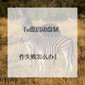 u盘启动盘制作失败怎么办