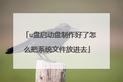 u盘启动盘制作好了怎么把系统文件放进去