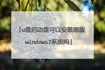 u盘启动盘可以安装原版windows7系统吗