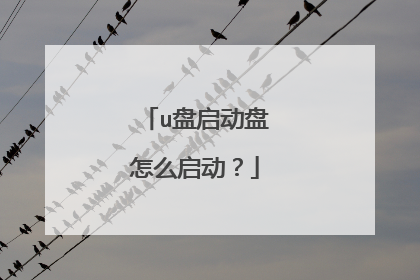 u盘启动盘怎么启动?