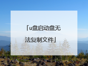 u盘启动盘无法复制文件