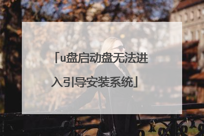 u盘启动盘无法进入引导安装系统
