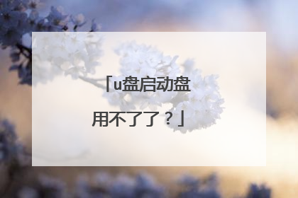 u盘启动盘用不了了?