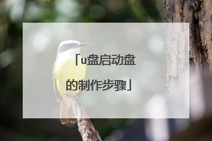 u盘启动盘的制作步骤