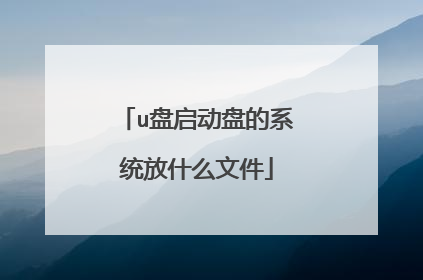 u盘启动盘的系统放什么文件