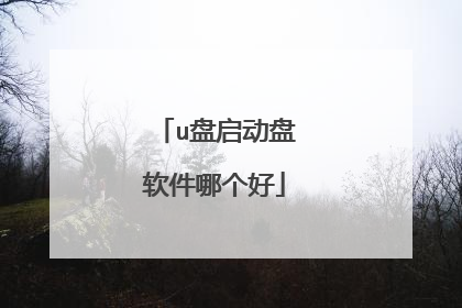 u盘启动盘软件哪个好