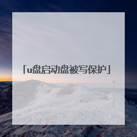 u盘启动盘被写保护