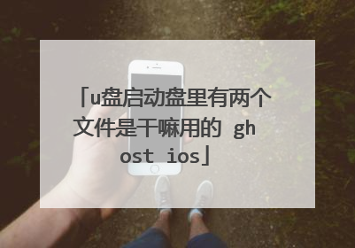 u盘启动盘里有两个文件是干嘛用的 ghost ios