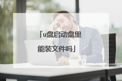 u盘启动盘里能装文件吗