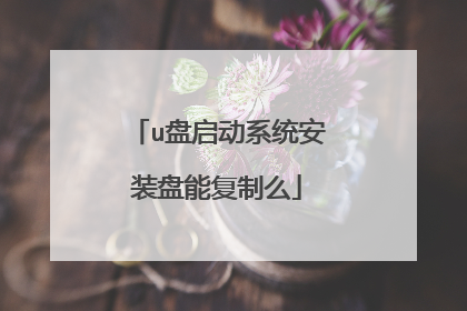 u盘启动系统安装盘能复制么