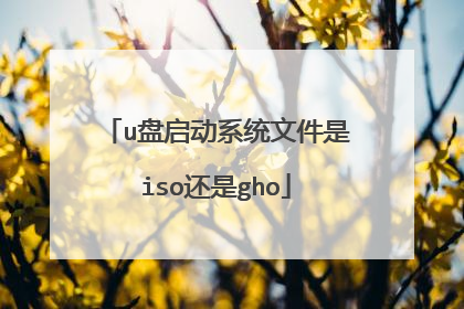u盘启动系统文件是iso还是gho