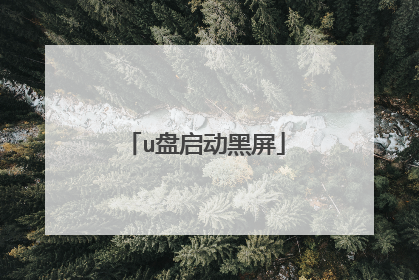 u盘启动黑屏