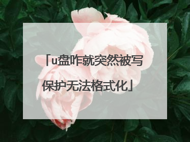 u盘咋就突然被写保护无法格式化