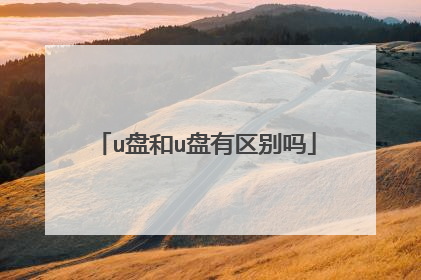 u盘和u盘有区别吗