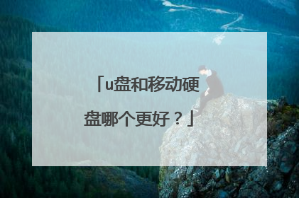 u盘和移动硬盘哪个更好？