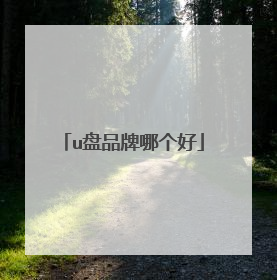 u盘品牌哪个好