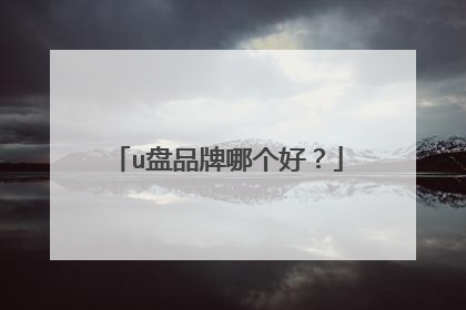 u盘品牌哪个好?