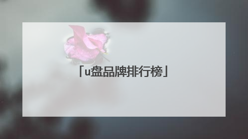 u盘品牌排行榜