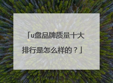 u盘品牌质量十大排行是怎么样的?