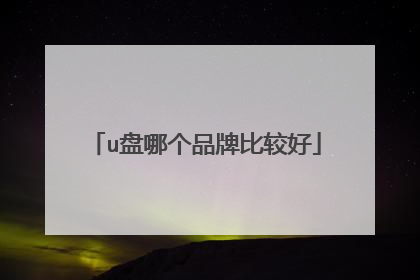 u盘哪个品牌比较好