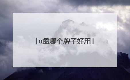 u盘哪个牌子好用