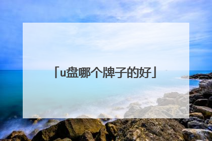 u盘哪个牌子的好